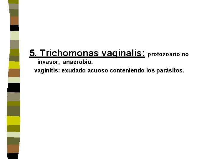 5. Trichomonas vaginalis: protozoario no invasor, anaerobio. vaginitis: exudado acuoso conteniendo los parásitos. 5. Trichomonas vaginalis: protozoario no invasor, anaerobio. vaginitis: exudado acuoso conteniendo los parásitos.