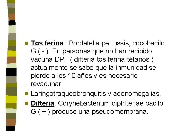 Tos ferina: Bordetella pertussis, cocobacilo G ( - ). En personas que no han Tos ferina: Bordetella pertussis, cocobacilo G ( - ). En personas que no han