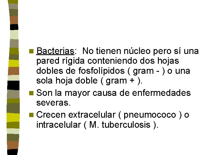 n Bacterias: No tienen núcleo pero sí una pared rígida conteniendo dos hojas dobles n Bacterias: No tienen núcleo pero sí una pared rígida conteniendo dos hojas dobles
