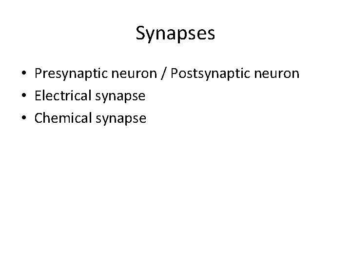 Synapses • Presynaptic neuron / Postsynaptic neuron • Electrical synapse • Chemical synapse 