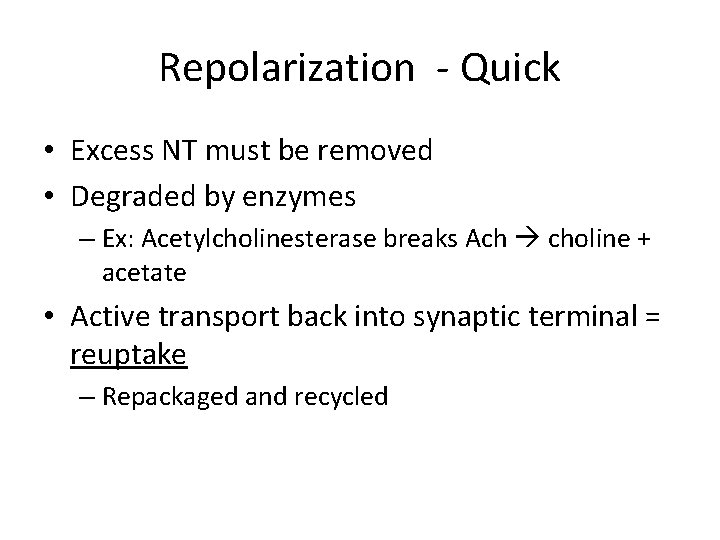 Repolarization - Quick • Excess NT must be removed • Degraded by enzymes –