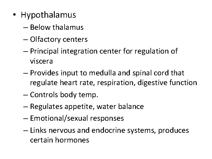  • Hypothalamus – Below thalamus – Olfactory centers – Principal integration center for