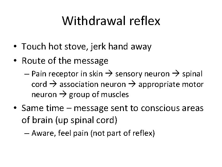 Withdrawal reflex • Touch hot stove, jerk hand away • Route of the message