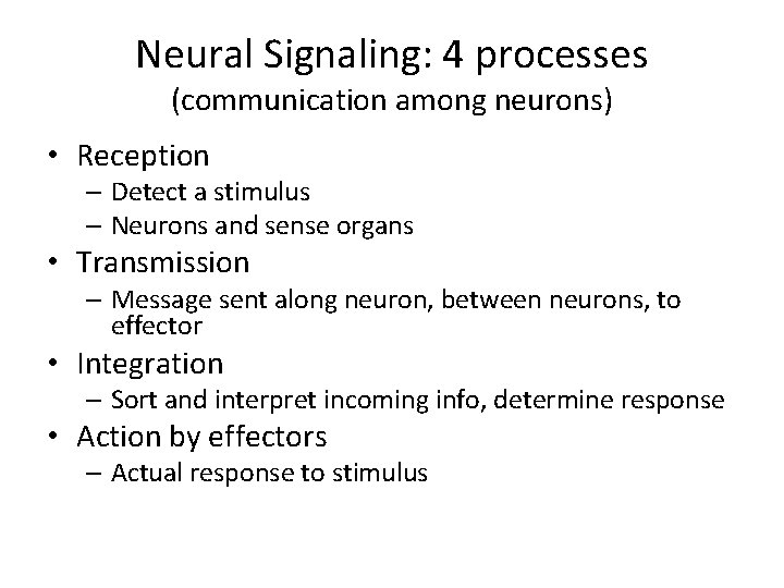 Neural Signaling: 4 processes (communication among neurons) • Reception – Detect a stimulus –