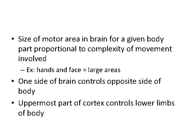  • Size of motor area in brain for a given body part proportional