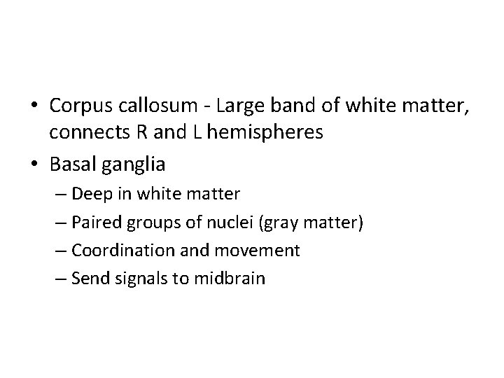  • Corpus callosum - Large band of white matter, connects R and L