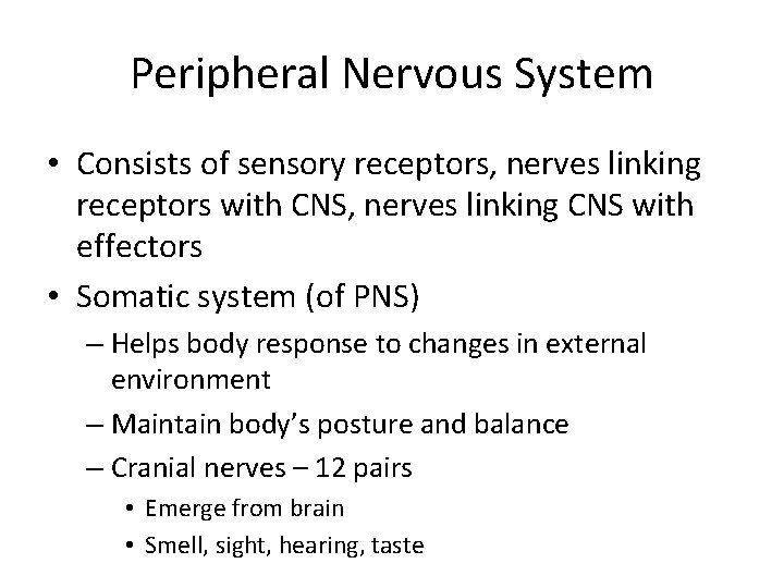 Peripheral Nervous System • Consists of sensory receptors, nerves linking receptors with CNS, nerves