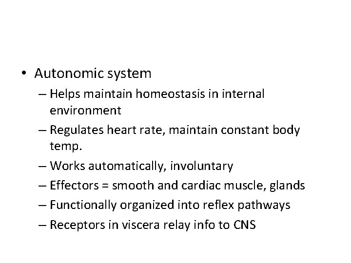  • Autonomic system – Helps maintain homeostasis in internal environment – Regulates heart