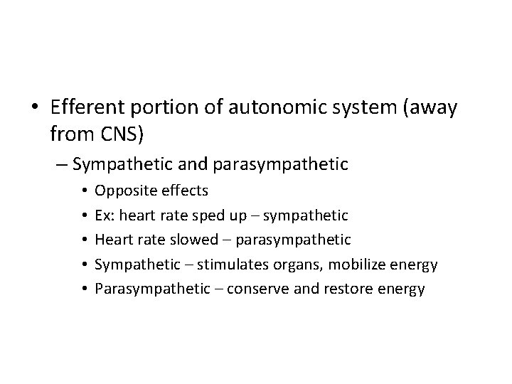  • Efferent portion of autonomic system (away from CNS) – Sympathetic and parasympathetic