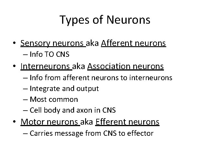 Types of Neurons • Sensory neurons aka Afferent neurons – Info TO CNS •