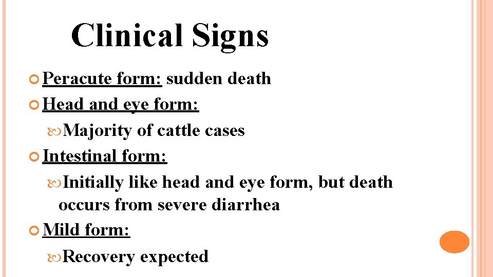 Clinical Signs Peracute form: sudden death Head and eye form: Majority of cattle cases