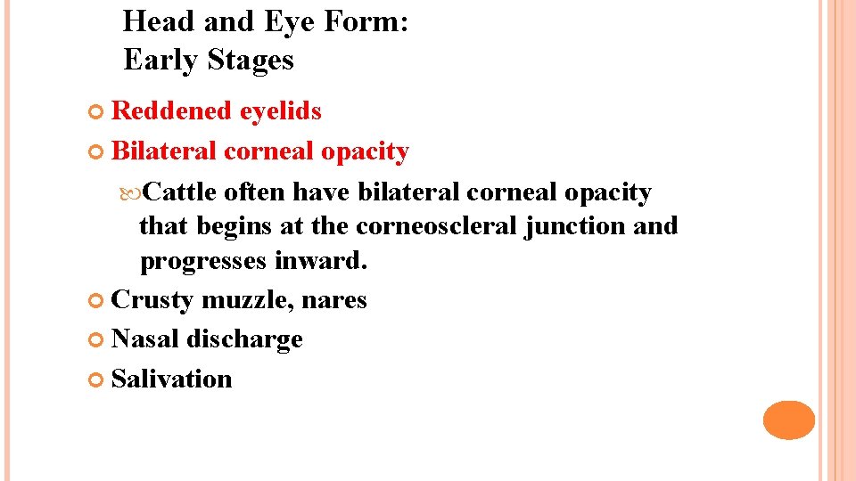 Head and Eye Form: Early Stages Reddened eyelids Bilateral corneal opacity Cattle often have