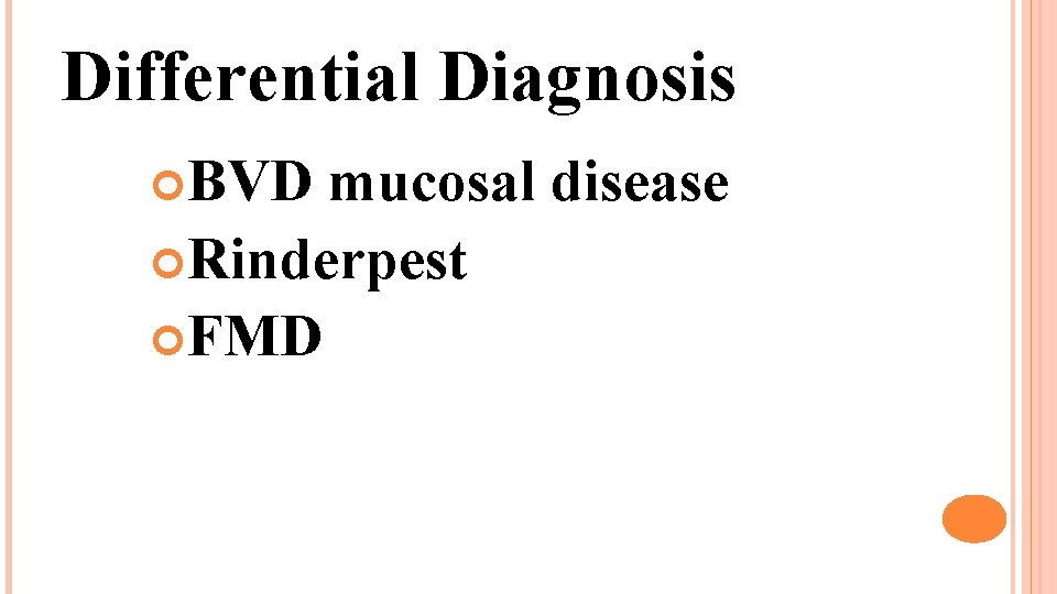 Differential Diagnosis BVD mucosal disease Rinderpest FMD 