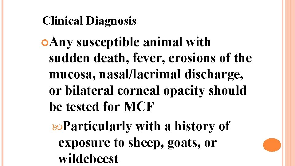 Clinical Diagnosis Any susceptible animal with sudden death, fever, erosions of the mucosa, nasal/lacrimal