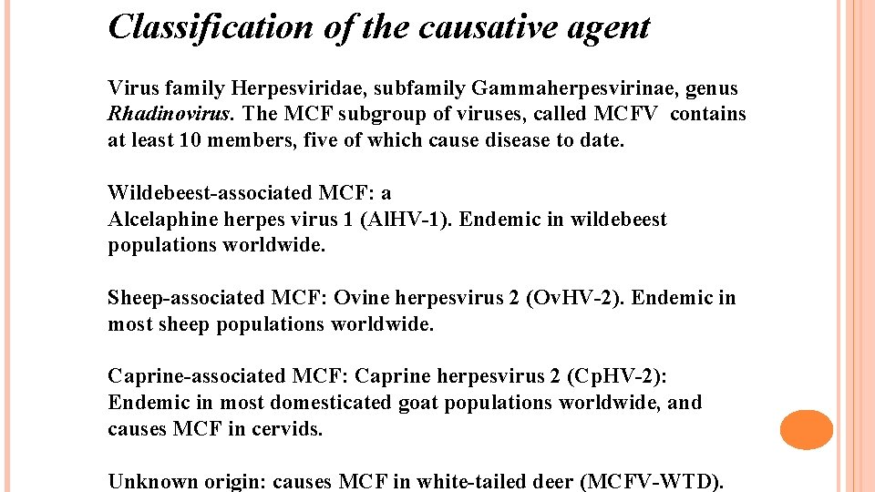 Classification of the causative agent Virus family Herpesviridae, subfamily Gammaherpesvirinae, genus Rhadinovirus. The MCF