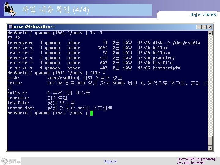 파일 내용 확인 (4/4) 파일과 디렉토리 Page 29 Linux/UNIX Programming by Yang-Sae Moon 파일 내용 확인 (4/4) 파일과 디렉토리 Page 29 Linux/UNIX Programming by Yang-Sae Moon