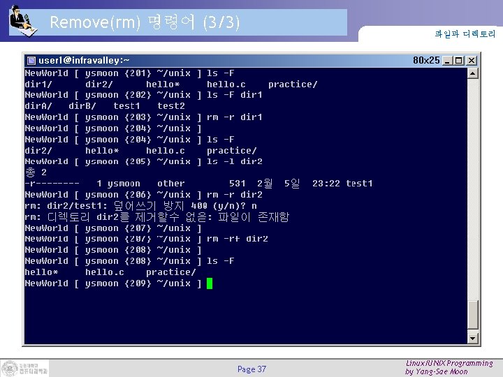 Remove(rm) 명령어 (3/3) Page 37 파일과 디렉토리 Linux/UNIX Programming by Yang-Sae Moon Remove(rm) 명령어 (3/3) Page 37 파일과 디렉토리 Linux/UNIX Programming by Yang-Sae Moon
