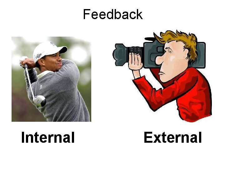 Feedback Internal External 