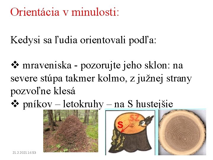 Orientácia v minulosti: Kedysi sa ľudia orientovali podľa: v mraveniska - pozorujte jeho sklon: