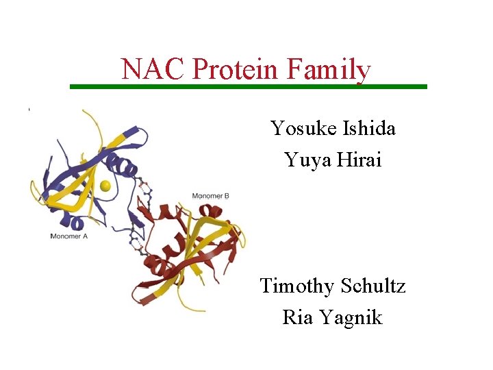 NAC Protein Family Yosuke Ishida Yuya Hirai Timothy Schultz Ria Yagnik 