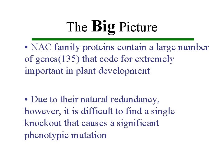 The Big Picture • NAC family proteins contain a large number of genes(135) that