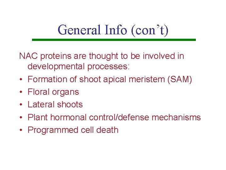General Info (con’t) NAC proteins are thought to be involved in developmental processes: •