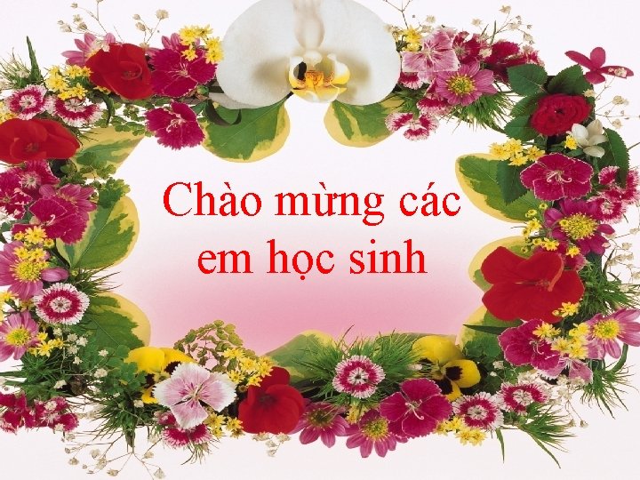 Chào mừng các em học sinh 