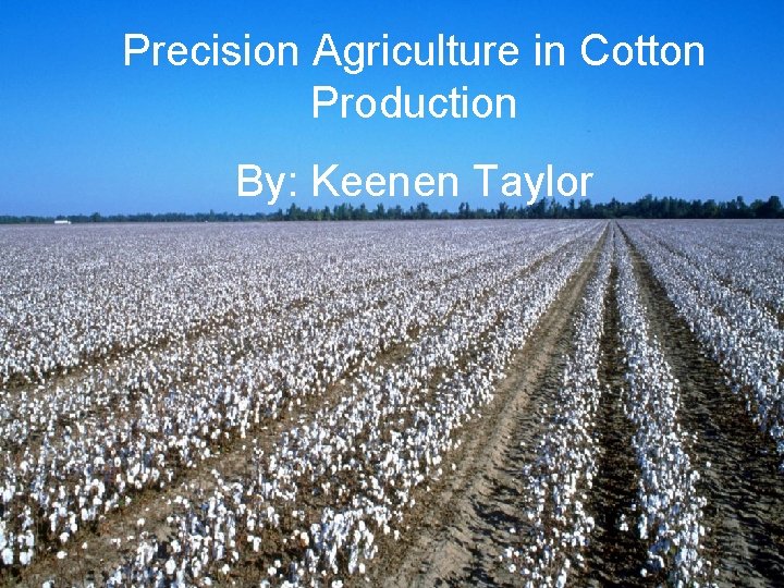 Precision Agriculture in Cotton Production By: Keenen Taylor 