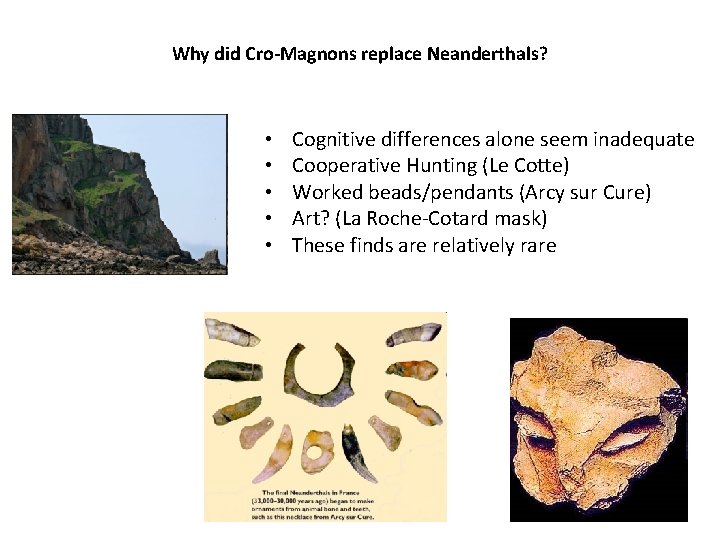 Why did Cro-Magnons replace Neanderthals? • • • Cognitive differences alone seem inadequate Cooperative