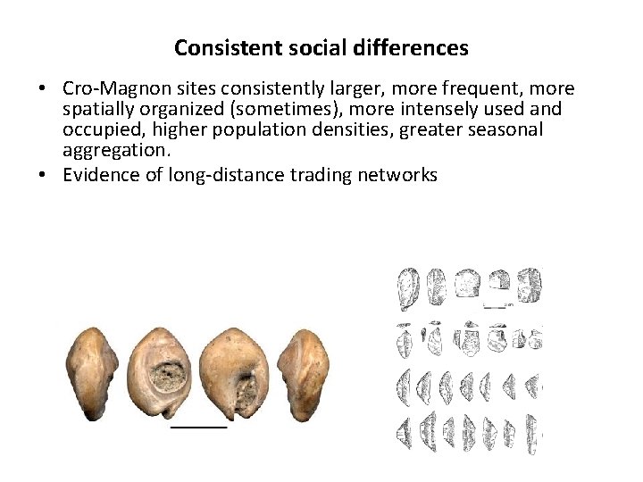 Consistent social differences • Cro-Magnon sites consistently larger, more frequent, more spatially organized (sometimes),