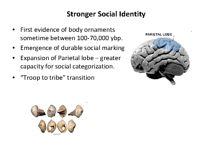 Stronger Social Identity • First evidence of body ornaments sometime between 100 -70, 000