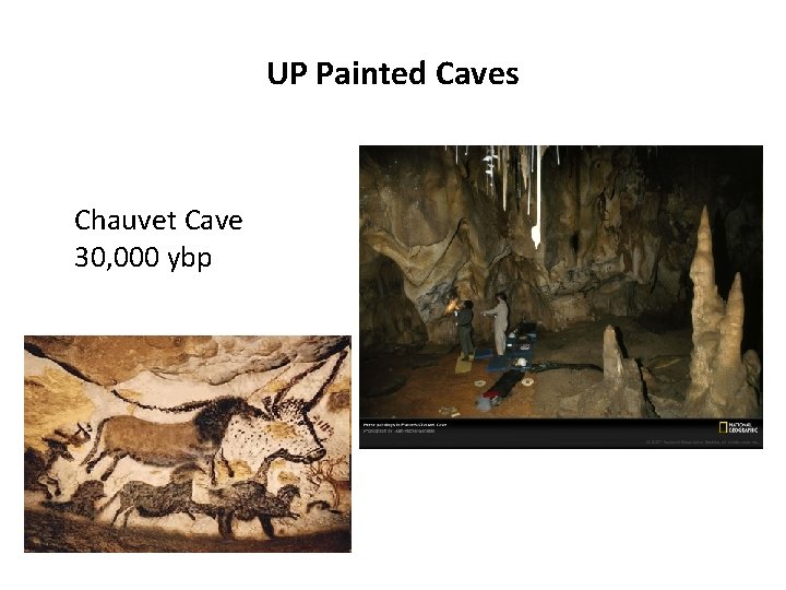 UP Painted Caves Chauvet Cave 30, 000 ybp 