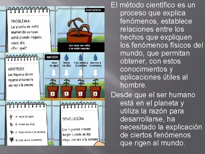 EL MTODO CIENTFICO El mtodo cientfico es un