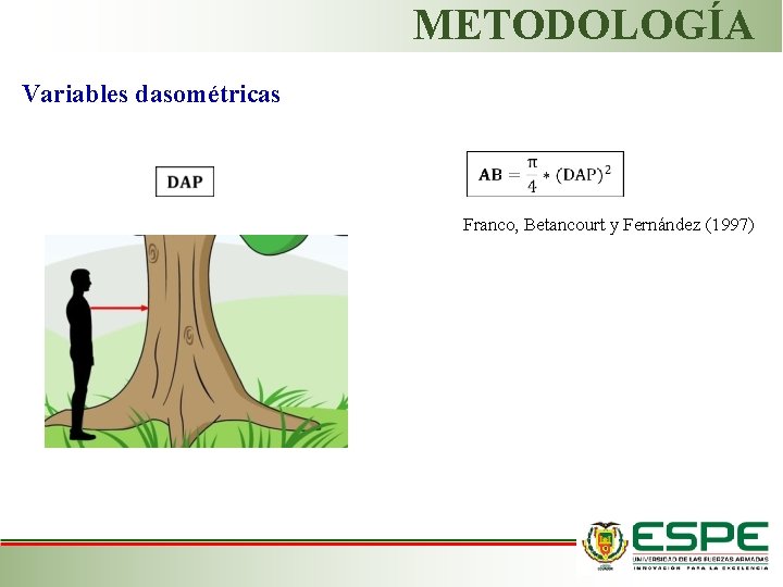 METODOLOGÍA Variables dasométricas Franco, Betancourt y Fernández (1997) 