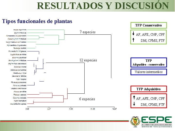 RESULTADOS Y DISCUSIÓN Tipos funcionales de plantas TFP Conservativo 7 especies AF, AFE, CNP,