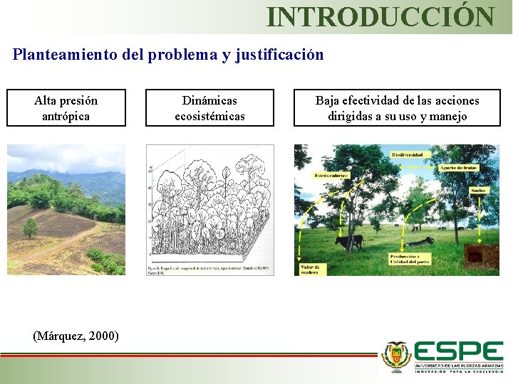 INTRODUCCIÓN Planteamiento del problema y justificación Alta presión antrópica (Márquez, 2000) Dinámicas ecosistémicas Baja