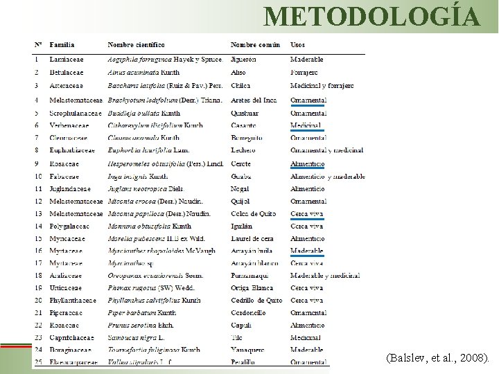 METODOLOGÍA (Balslev, et al. , 2008). 