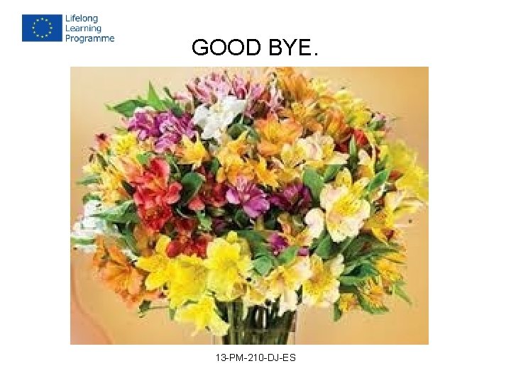 GOOD BYE. 13 -PM-210 -DJ-ES GOOD BYE. 13 -PM-210 -DJ-ES