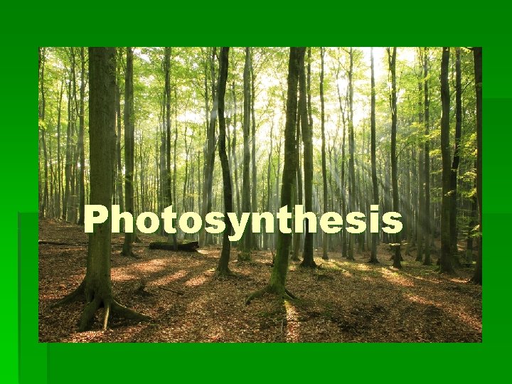 Photosynthesis 