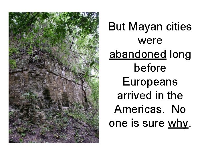 But Mayan cities were abandoned long before Europeans arrived in the Americas. No one