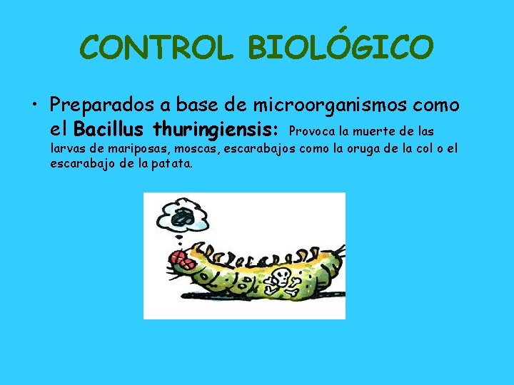 CONTROL BIOLÓGICO • Preparados a base de microorganismos como el Bacillus thuringiensis: Provoca la