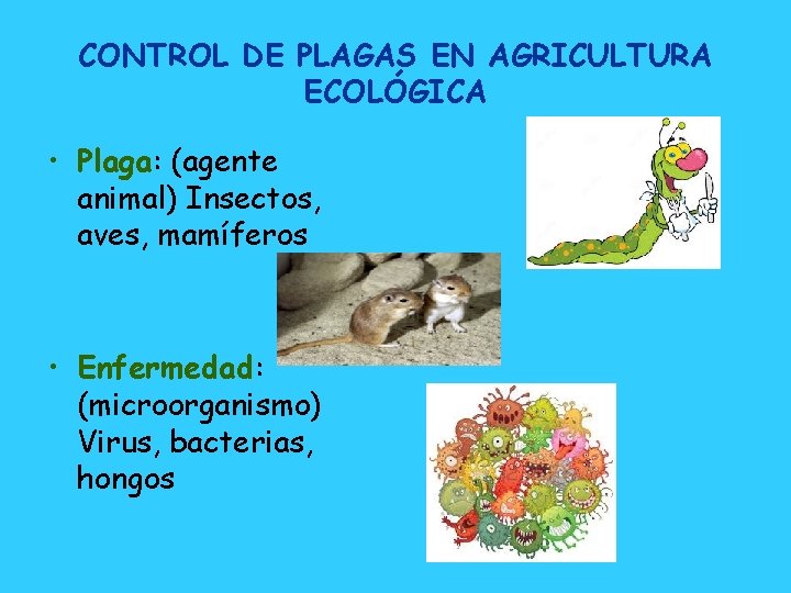 CONTROL DE PLAGAS EN AGRICULTURA ECOLÓGICA • Plaga: (agente animal) Insectos, aves, mamíferos •