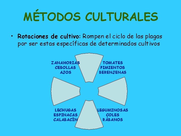 MÉTODOS CULTURALES • Rotaciones de cultivo: Rompen el ciclo de las plagas por ser