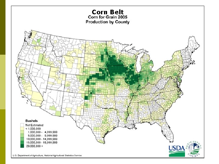 Corn Belt 