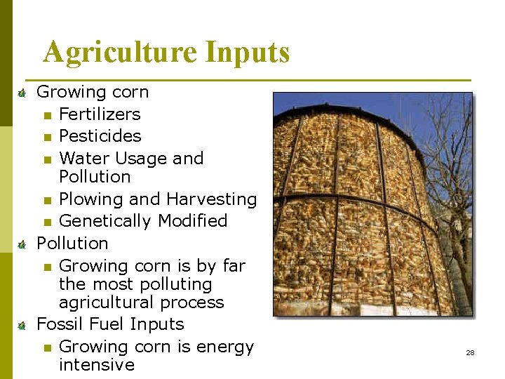 Agriculture Inputs Growing corn n Fertilizers n Pesticides n Water Usage and Pollution n