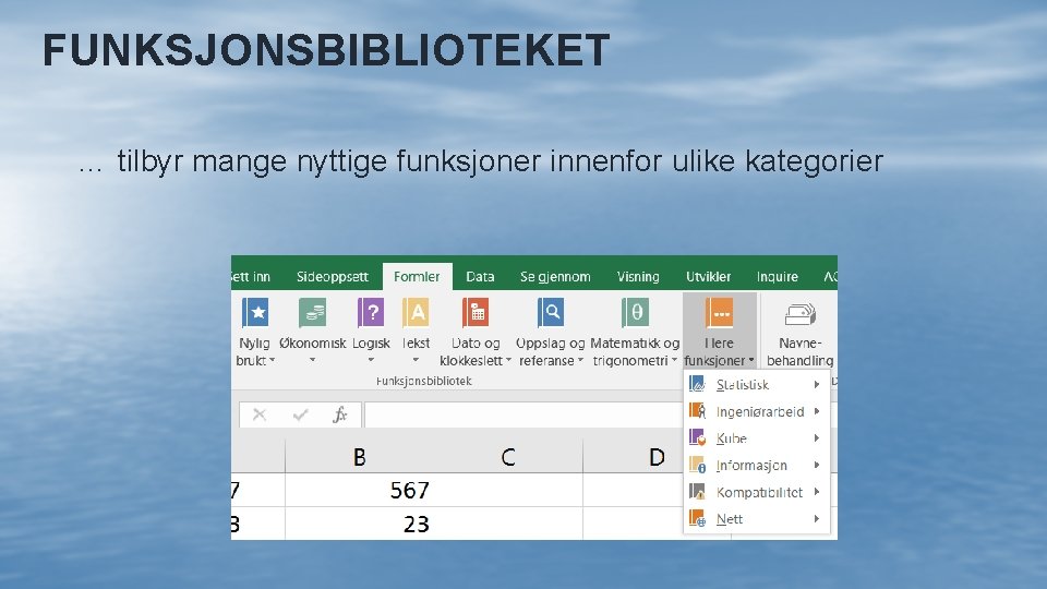 FUNKSJONSBIBLIOTEKET … tilbyr mange nyttige funksjoner innenfor ulike kategorier 