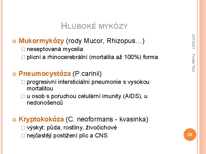 HLUBOKÉ MYKÓZY Mukormykózy (rody Mucor, Rhizopus…) � neseptovaná Pneumocystóza (P. carinii) � progresivní Footer