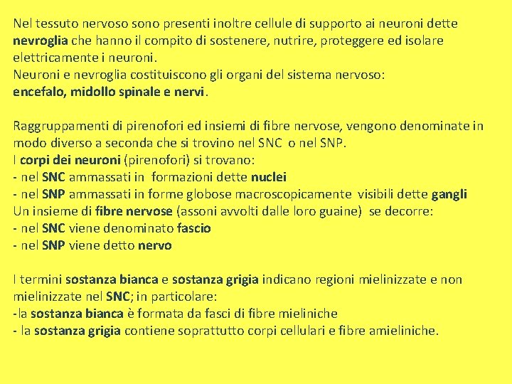 Nel tessuto nervoso sono presenti inoltre cellule di supporto ai neuroni dette nevroglia che