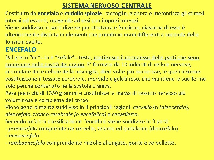 SISTEMA NERVOSO CENTRALE Costituito da encefalo e midollo spinale, raccoglie, elabora e memorizza gli