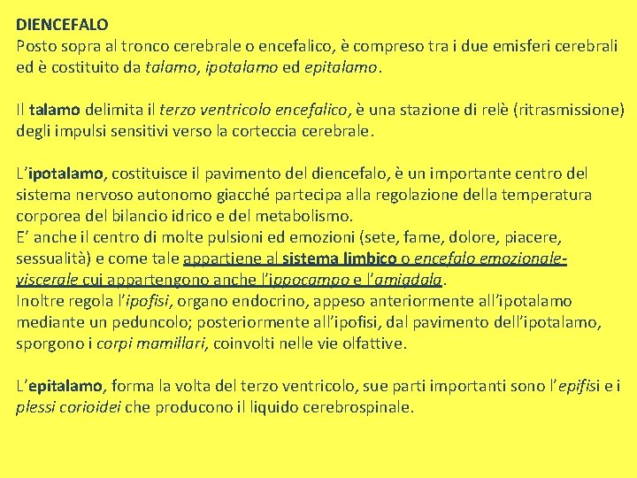 DIENCEFALO Posto sopra al tronco cerebrale o encefalico, è compreso tra i due emisferi